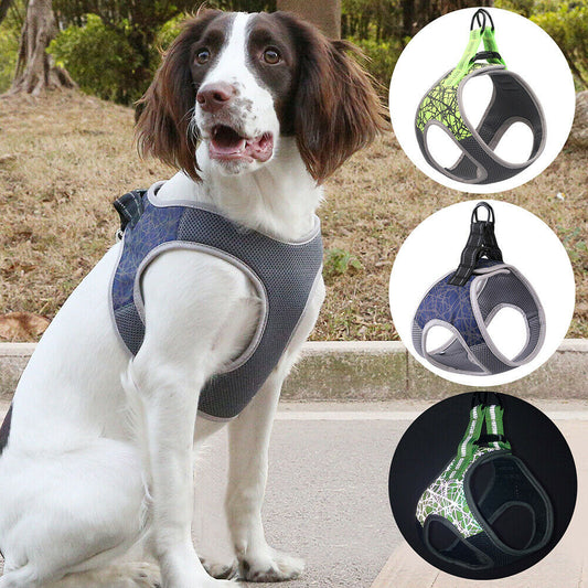 PawSecure™ No-Pull Harness – Secure, Comfy, and Adventure-Ready